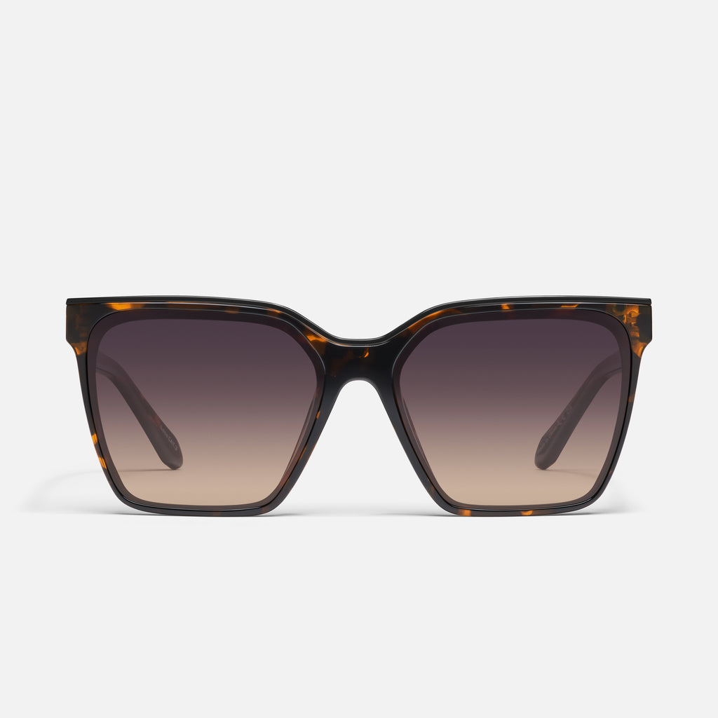 TORTOISE/SMOKE TAUPE POLARIZED